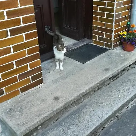 Pronajem Pokoju Belle Vue Homestay szállás *